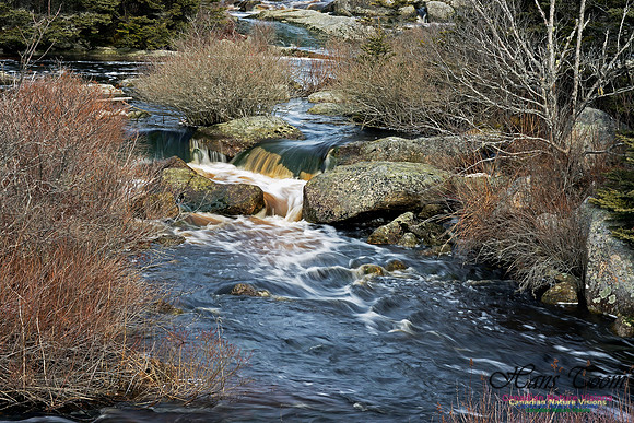 Pennant River