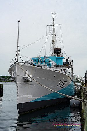 Halifax Waterfront Stroll 125