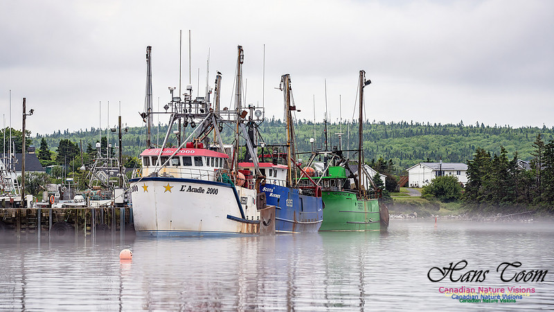 Harbour Traffic 100