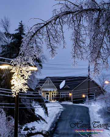 Ice Storm 2022 108