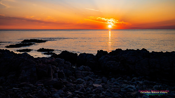 Brier Island Sunset 105