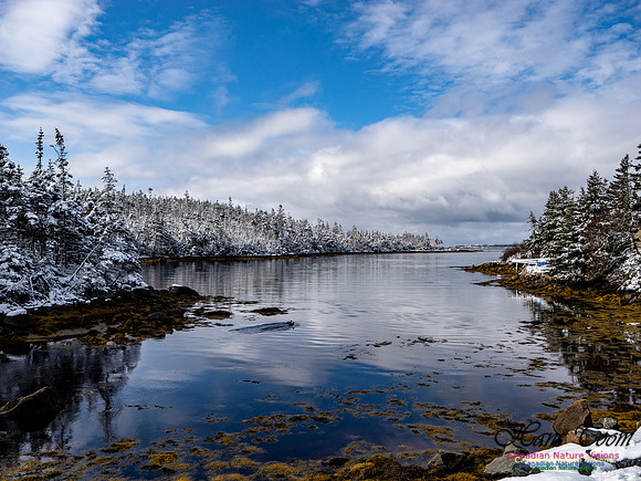 April Snow in Nova Scotia 215