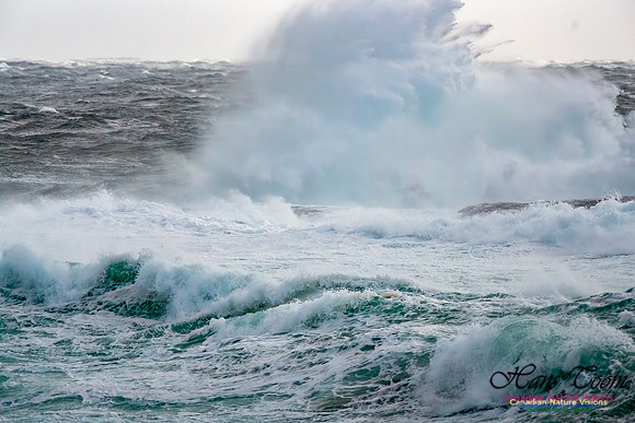 February 17 Gale 138