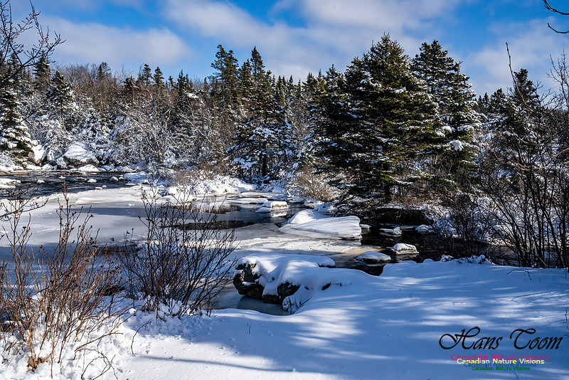 Nova Scotia Winter 301