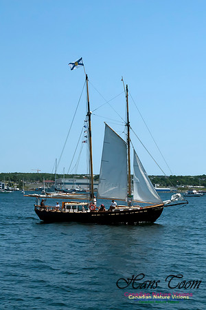 TallShips 2012