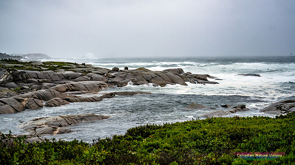 Nova Scotia Gale 2024-09-07 157