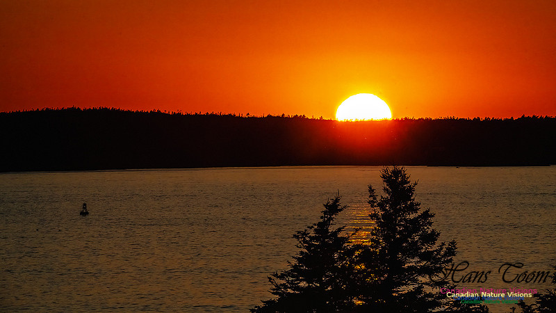 Sunset +1 103