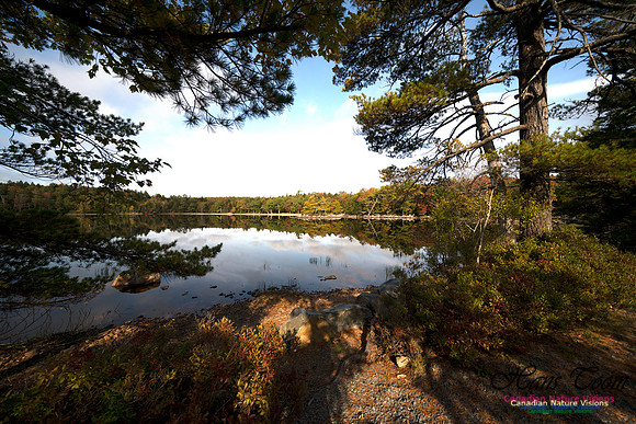 First Fall Photos Nova Scotia 124