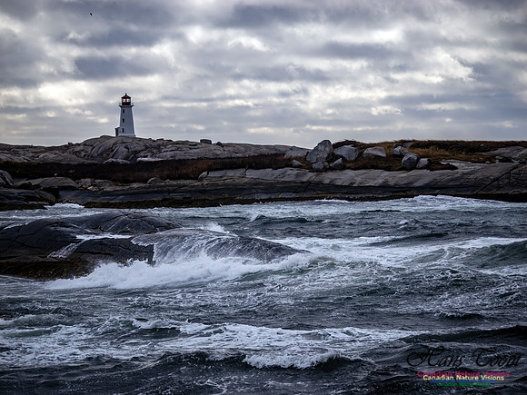 November Gale 3 115