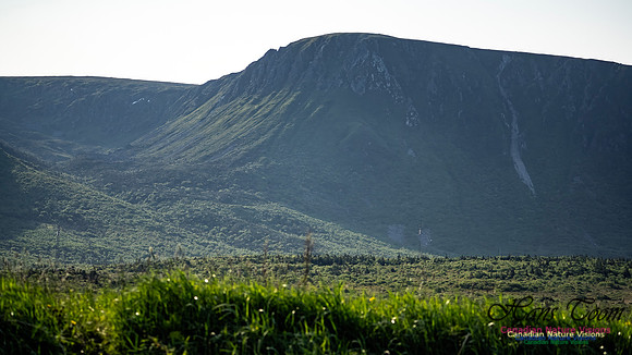 Table Mountains 120