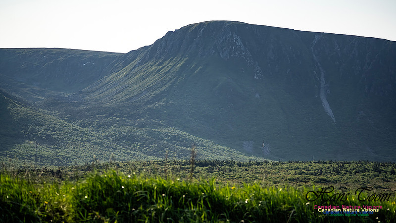 Table Mountains 120