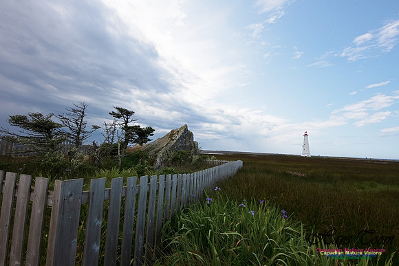 Cape Sable Light 112