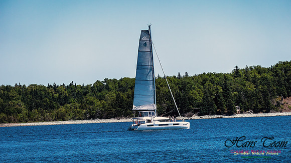 Harbour Traffic 109