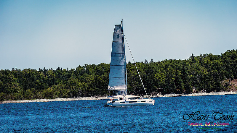 Harbour Traffic 109