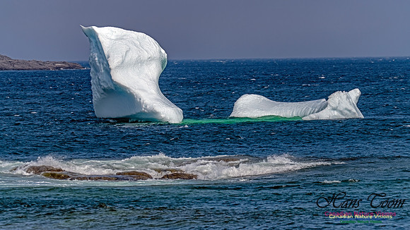 Twillingate 107