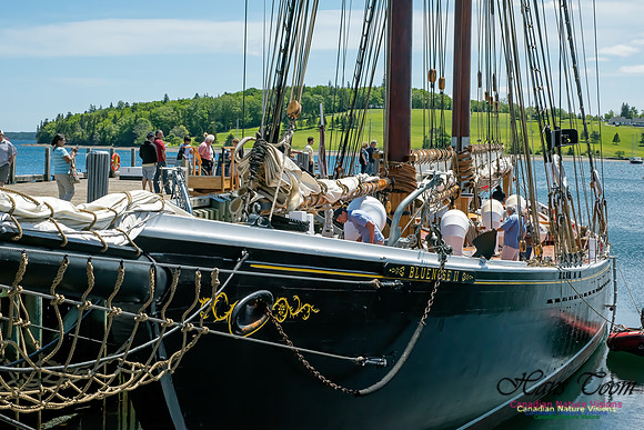 Bluenose II