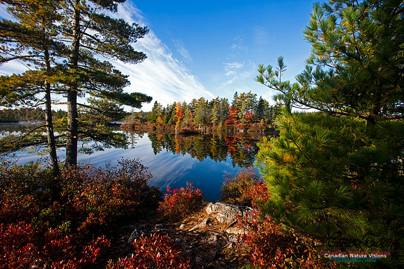 FallColours2012-32