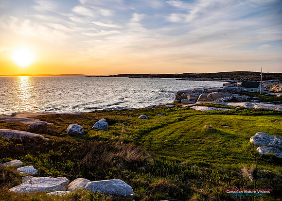 Late Day at Peggy's Cove 105
