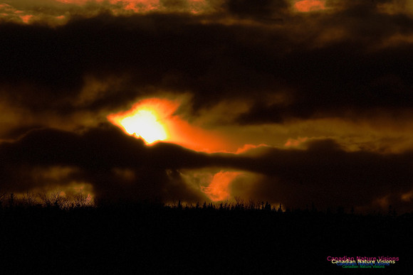 PortugueseCoveSunset7