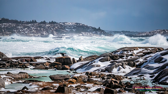 February 17 Gale 151