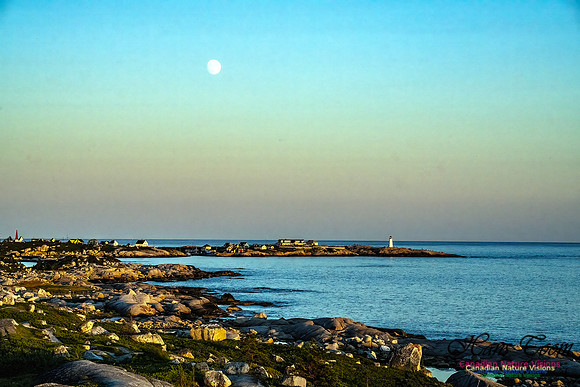 Sunset +1 106