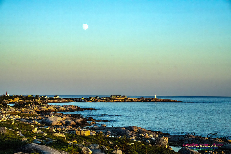 Sunset +1 106