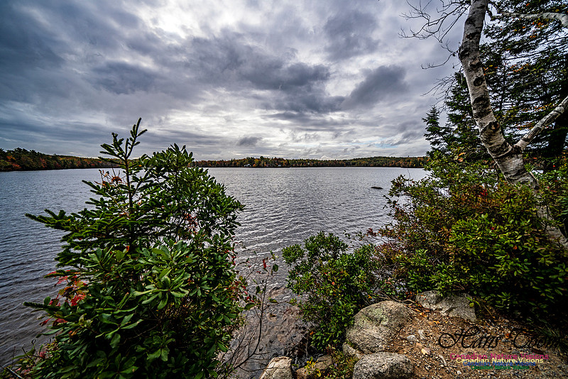 More Early Fall Photos in Nova Scotia 208