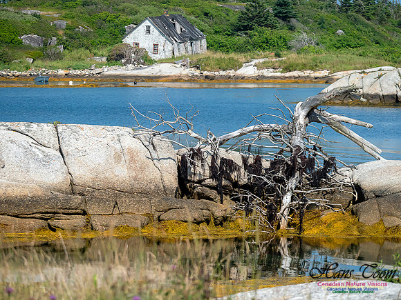 Lower Prospect Coastal Home 1