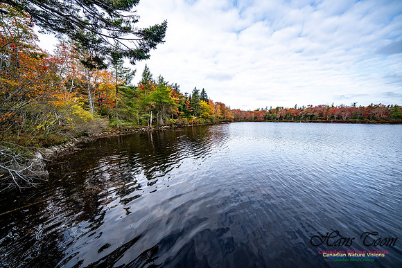 More Early Fall Photos in Nova Scotia 218