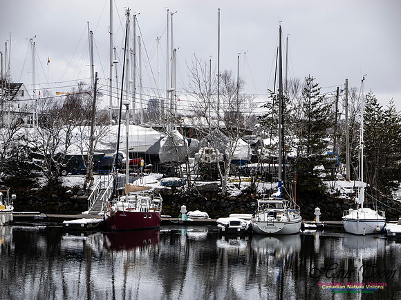 April Snow In Nova Scotia 103