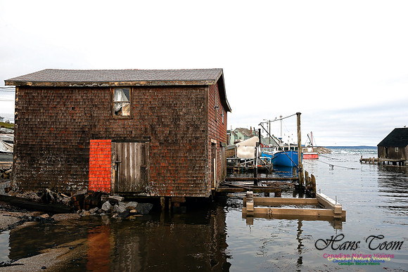 Peggys Cove