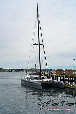 Halifax Waterfront Stroll 127