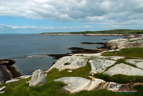 Peggys Cove