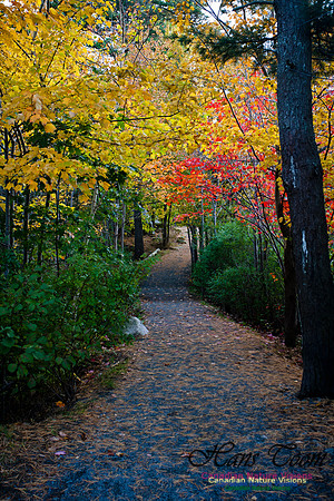 Sir Sanford Fleming Park