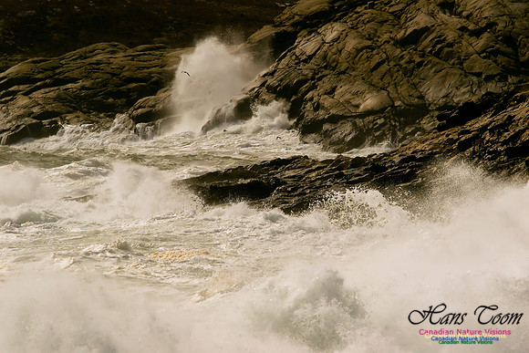 Coastal Cliffs Near Duncan Reef