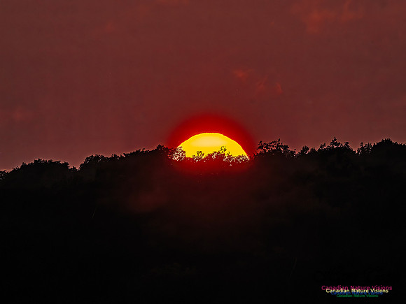 Edge of Day 104