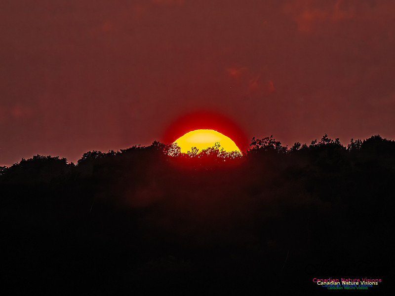 Edge of Day 104