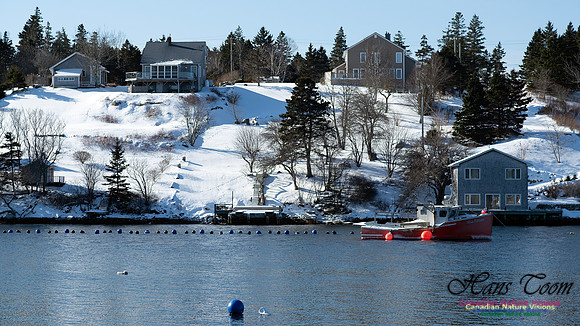 Prospect Bay Loop 126