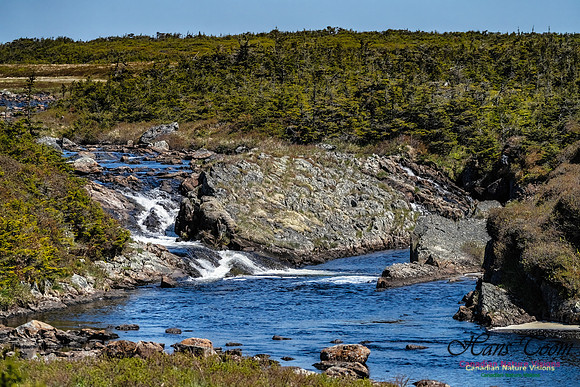 Cape Race 142