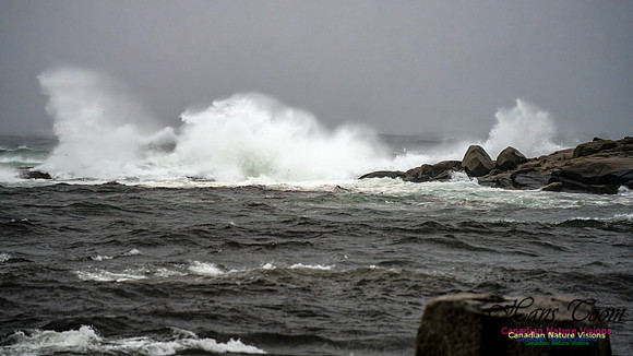 Nova Scotia Gale 2024-09-07 175