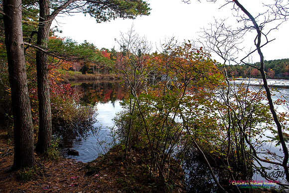 Sir Sanford Fleming Park