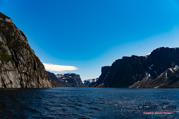 Western Brook Pond 132