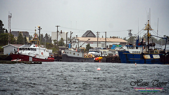 Nova Scotia Gale 2024-09-07 119