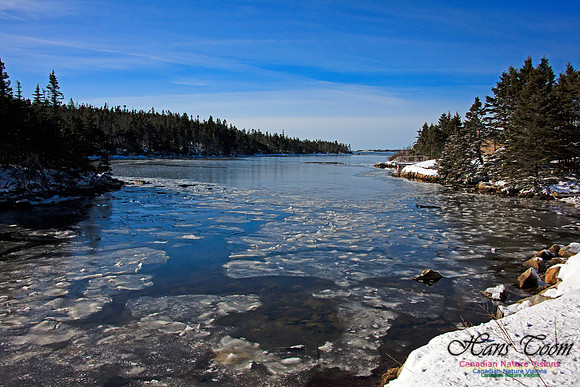 Sambro Head