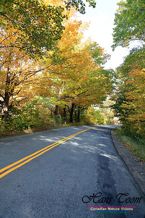 FallColours2016-1044