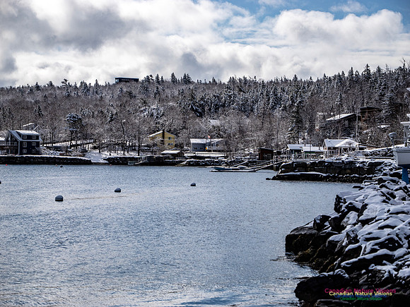 April Snow in Nova Scotia 232