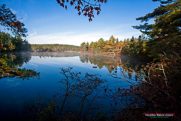 FallColours2012-25