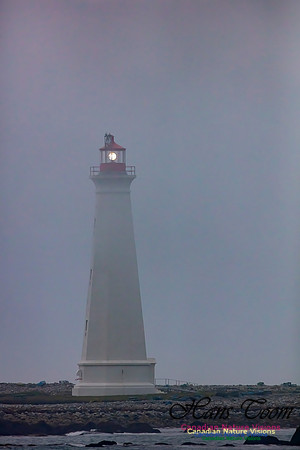 Cape Sable Light 100