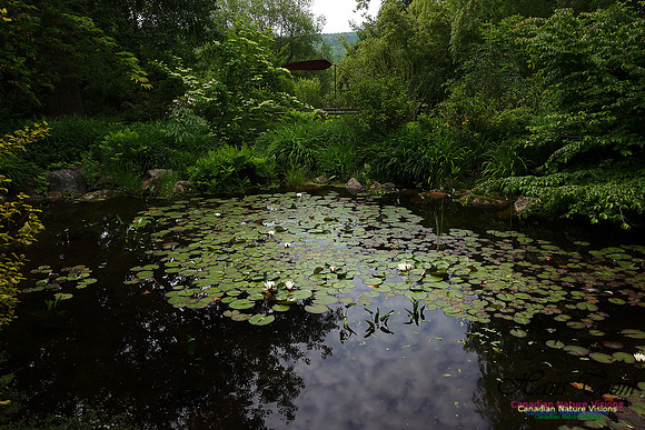 Annapolis Roya Historic Gardens