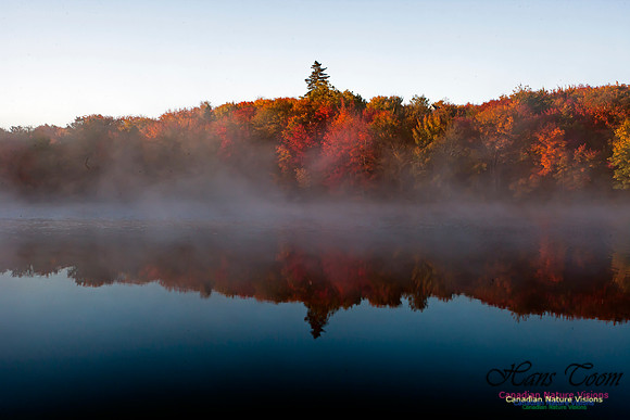 FallColours2012-13
